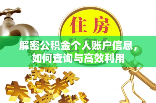 雁江解密公积金个人账户信息，如何查询与高效利用