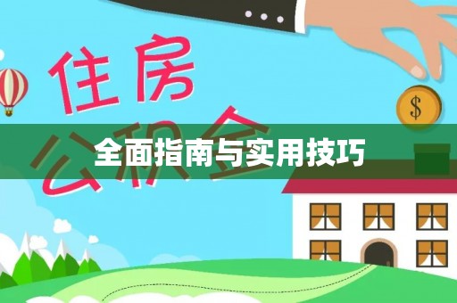 雁江全面指南与实用技巧