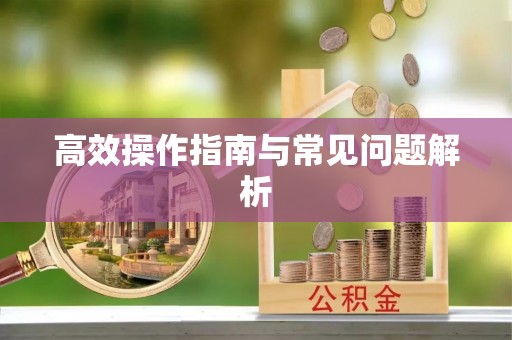 雁江高效操作指南与常见问题解析