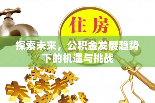 雁江探索未来，公积金发展趋势下的机遇与挑战