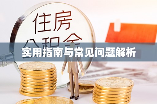 雁江实用指南与常见问题解析