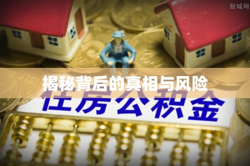 雁江揭秘背后的真相与风险